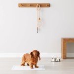 Leakproof Dog Training Pads, Quick-Dry, Pack of 50