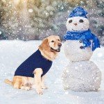 Cozy Cable Knit Dog Turtleneck Sweater