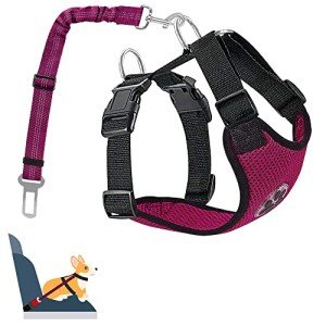 Adjustable Dog Car Harness with Seat Belts