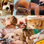 Dog Grooming Scissors Kit with Nail Clippers