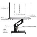 Fellie Heavy Duty Hydraulic Dog Grooming Table