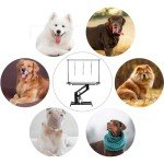 Fellie Heavy Duty Hydraulic Dog Grooming Table