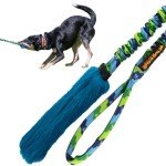 Durable Bungee Tug Toy for Interactive Dog Training
