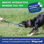 Durable Bungee Tug Toy for Interactive Dog Training
