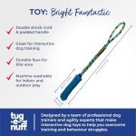 Durable Bungee Tug Toy for Interactive Dog Training