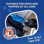 Durable Bungee Tug Toy for Interactive Dog Training