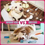 Indestructible 10-Pack Puppy Chew Rope Toys