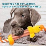 Indestructible 10-Pack Puppy Chew Rope Toys