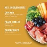 Lily's Kitchen Dog Wet Food Multipack - 150g x 6