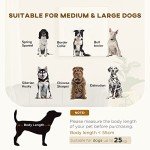 Cozy Grey Dog Sofa for Medium to Large Dogs