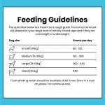 Salmon & Sweet Potato Grain-Free Dog Food