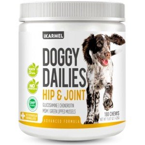 iKarmel Hip & Joint Supplements for Dogs (180 Chews)
