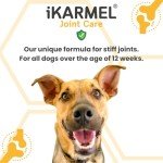 iKarmel Hip & Joint Supplements for Dogs (180 Chews)