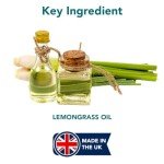 Natural Household Flea Spray for Dogs - 500ml