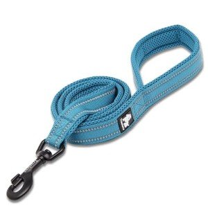Reflective Dog Leash for Safe Night Walks