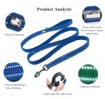 Reflective Dog Leash for Safe Night Walks