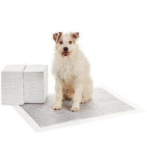 Amazon Basics Leakproof Odour-Control Dog Training Pads