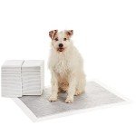 Amazon Basics Leakproof Odour-Control Dog Training Pads