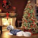 Blue Argyle Dog Sweater - Cozy Winter Jumper