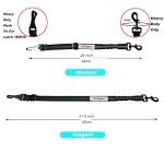 Adjustable Dog Seat Belt with Anti-Shock Buffer