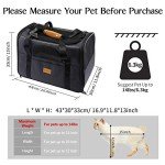 Morpilot Foldable Pet Carrier for Cats and Small Dogs