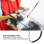 Adjustable Pet Grooming Noose with Stainless Steel Rope