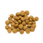 Lifelong Chicken & Rice Dry Dog Food for Small Breeds