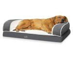Pecute Orthopedic Dog Bed for Large Breeds