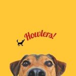 Howlers 20 Pack of Natural Dog Bone Chews