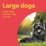 Bob Martin Flea Tablets for Large Dogs (3 Count)