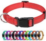Reflective Adjustable Nylon Dog Collar for Small Dogs