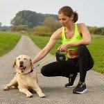 Retractable 8m Neon Dog Leash for Medium Dogs