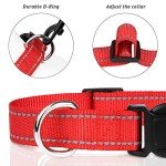 Reflective Adjustable Nylon Dog Collar for Small Dogs