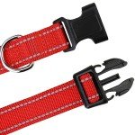 Reflective Adjustable Nylon Dog Collar for Small Dogs