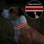 Reflective Adjustable Nylon Dog Collar for Small Dogs