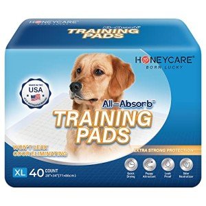 Ultra Absorbent X-Large Dog Training Pads - 40 Count