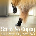 Non-Slip Dog Socks for Hardwood Floors - Large