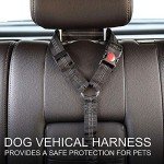 Adjustable Dog Seat Belt for Car Safety