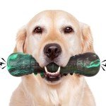Indestructible Dog Chew Toy with Squeaker