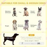 Elevated Wooden Dog Kennel with Openable Top