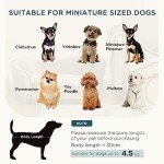 Mini Dog Sofa Bed with Washable Cushion and Pocket