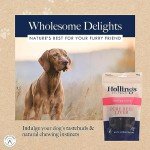 Hollings Air Dried Liver Treats for Dogs