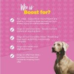 ProDog Boost 19-in-1 Dog Multivitamins - 60 Servings