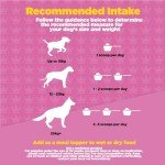 ProDog Boost 19-in-1 Dog Multivitamins - 60 Servings