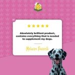 ProDog Boost 19-in-1 Dog Multivitamins - 60 Servings