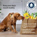 Pedigree DentaStix Daily Dental Chews for Dogs