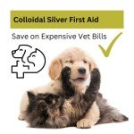 Natural Antibacterial Eye Drops for Dogs - 30ml