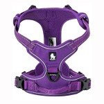 TrueLove No-Pull Dog Harness with Reflective Stitching