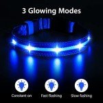 Bright LED Dog Collar for Night Walks - Waterproof