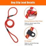 Durable Adjustable Slip Lead for Small Dogs